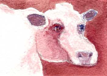 "Lily" by Mary Somers, Fitchburg WI - Watercolor